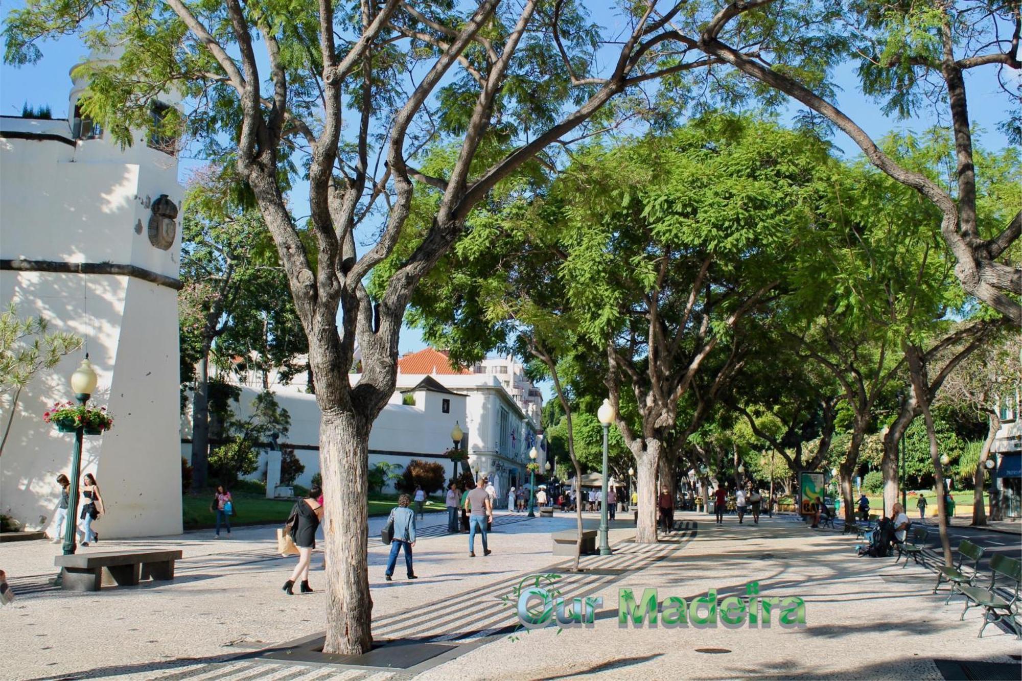 Ourmadeira - Heart Of Old Town I Apartamento Funchal  Exterior foto